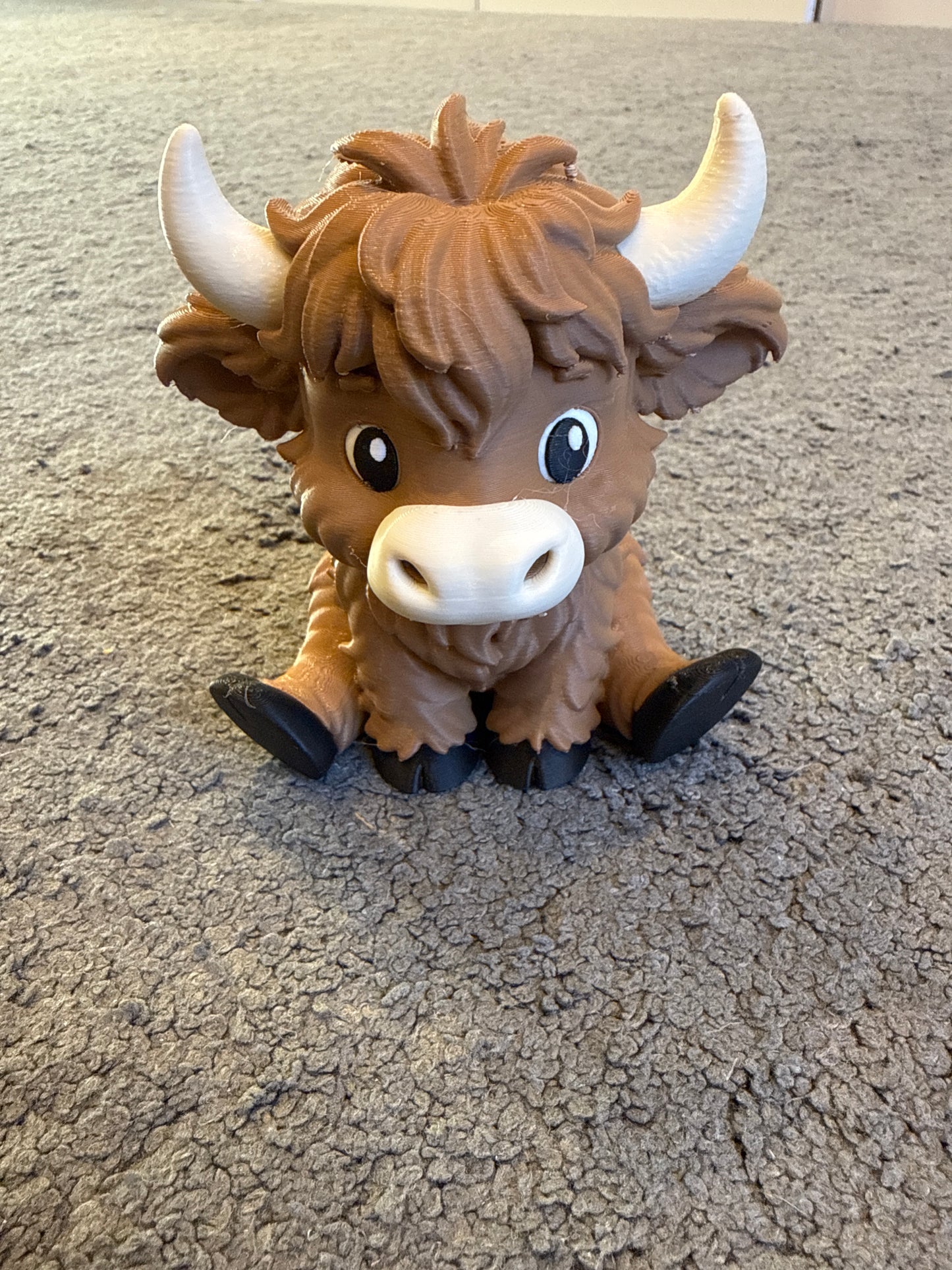 Highland cow